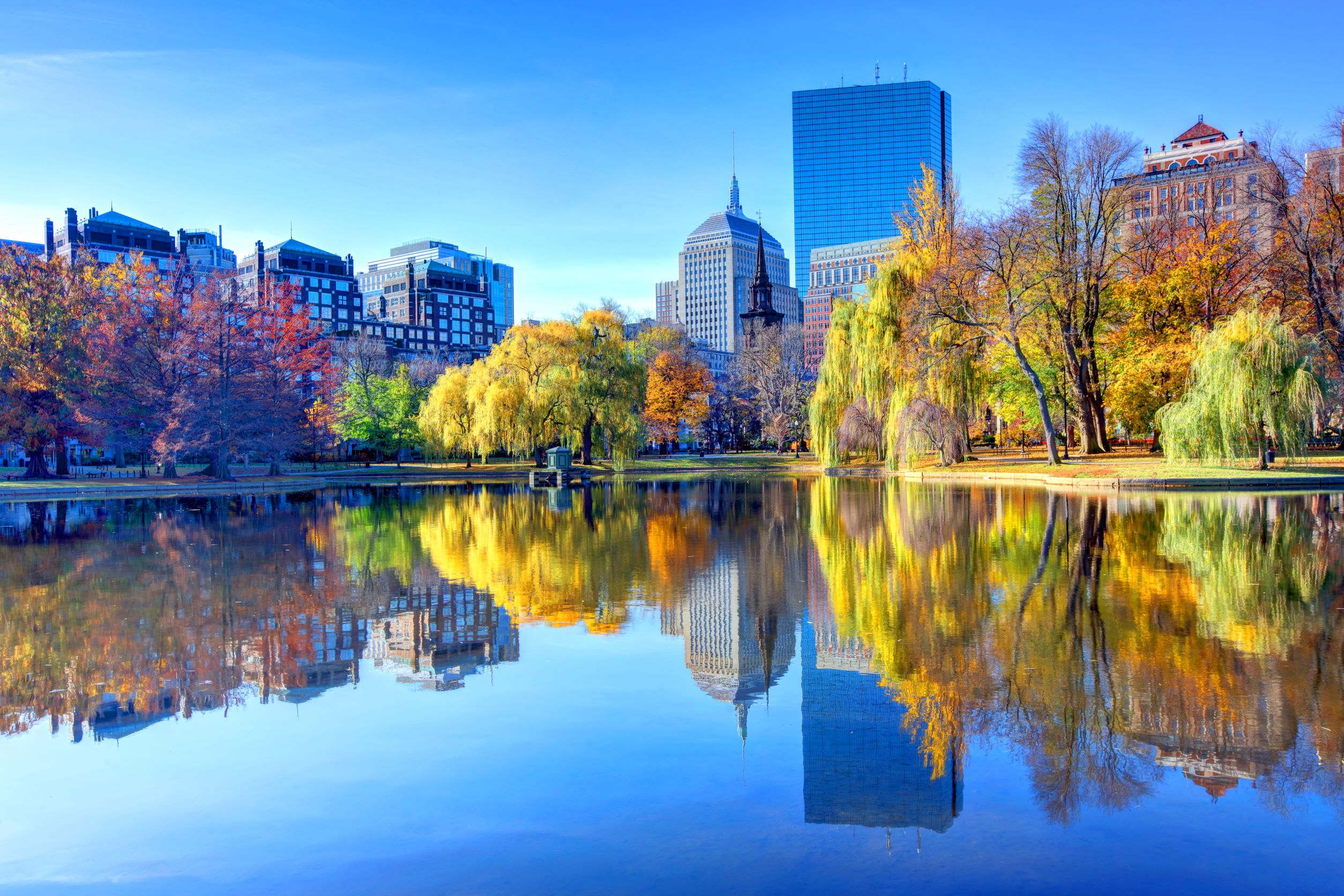 Best Places to See Fall Foliage in Boston The Envoy Hotel